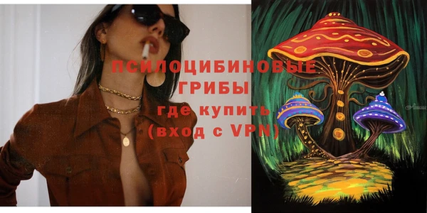 соль курить ск Бородино