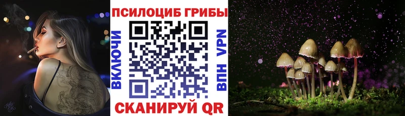 цена   Долинск  кракен ссылки  Псилоцибиновые грибы ЛСД 